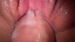 Fellatio and immensely close up fuck