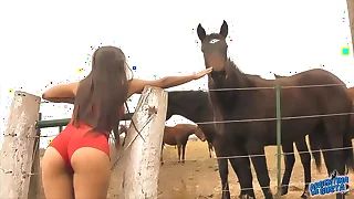 Chum around with annoy Dominate hot Lassie Pony Whisperer - Amazing Body Latina! 10  Ass!